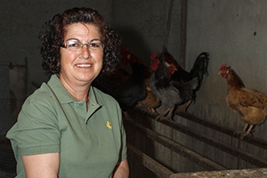 Tradiciones rurales. Alimentando las gallinas